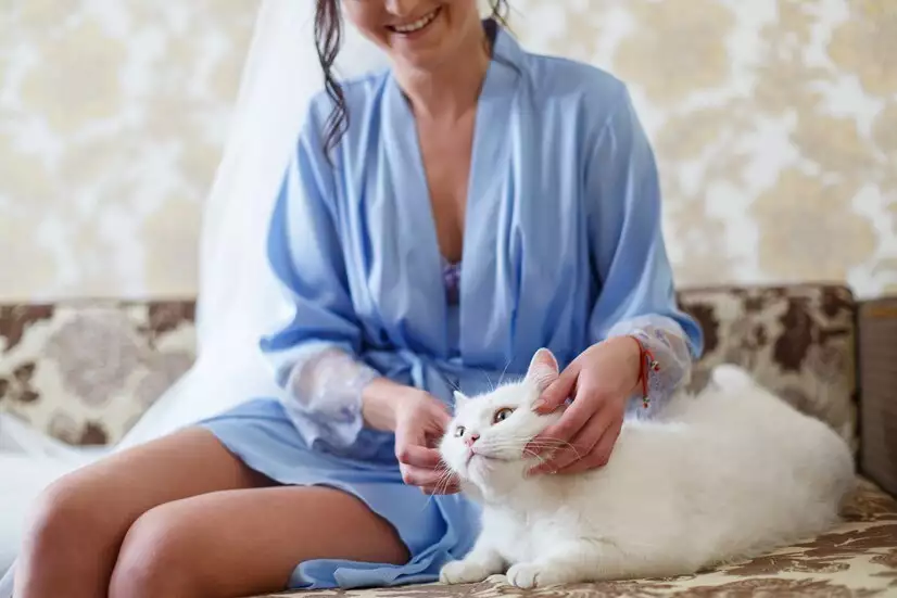 猫咪长期软便可能是食物过敏导致_猫咪肠胃健康调整_猫咪软便原因