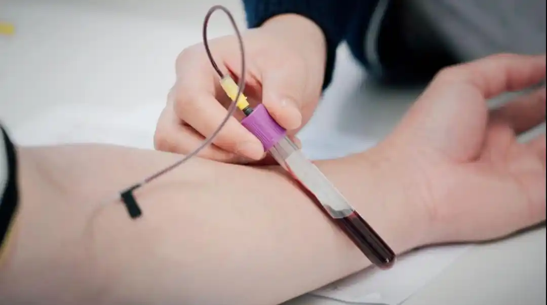 老年人体检主要查哪些项目？重点注意这4个方面-派特超人-宠物