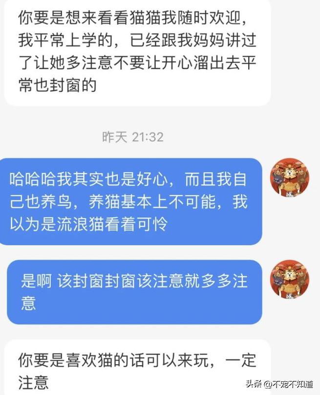 猫咪坠楼原因分析_高层猫咪坠楼事件_猫咪为什么爱看窗外