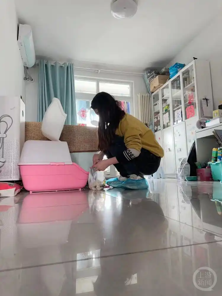 北京一女子春节期间当“铲屎官”上门喂宠物收入1.5万元-派特超人-宠物