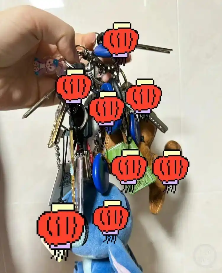 春节宠物喂养兼职_上门喂猫兼职收入_上门服务如何安抚紧张宠物