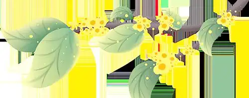 如何科学应对无法飞行的鸟类?专家指导与行动建议-派特超人-宠物