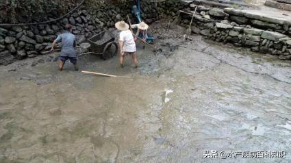 鱼塘“淤泥”不要贪多!否则泛塘、减产!危害就大了-派特超人-宠物