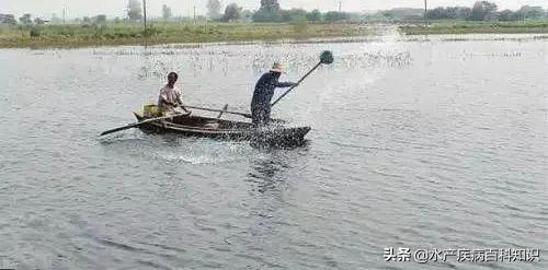 鱼塘淤泥处理方法_鱼塘淤泥过多害处_鱼缸底部淤积的危害清理