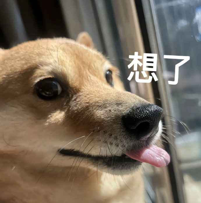夏天狗臭味解决方法_洗澡时防止狗狗逃跑的技巧_狗狗除臭宝典