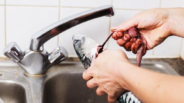 观赏鱼鱼鳃部充血怎么治-派特超人-宠物