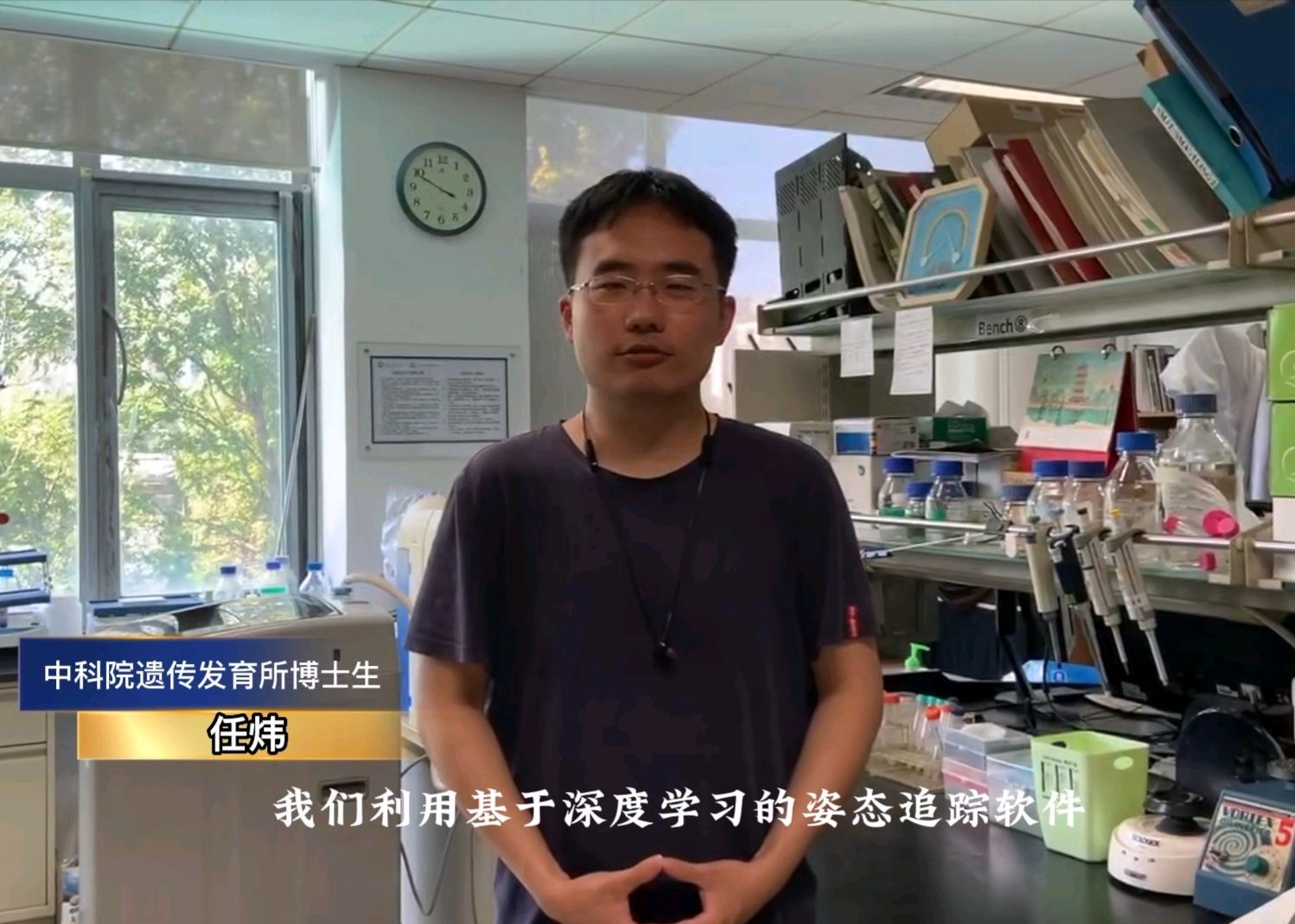 狗摇尾巴含义_狗狗尾巴下垂？脊柱问题的警示_狗尾巴摆动频率与健康