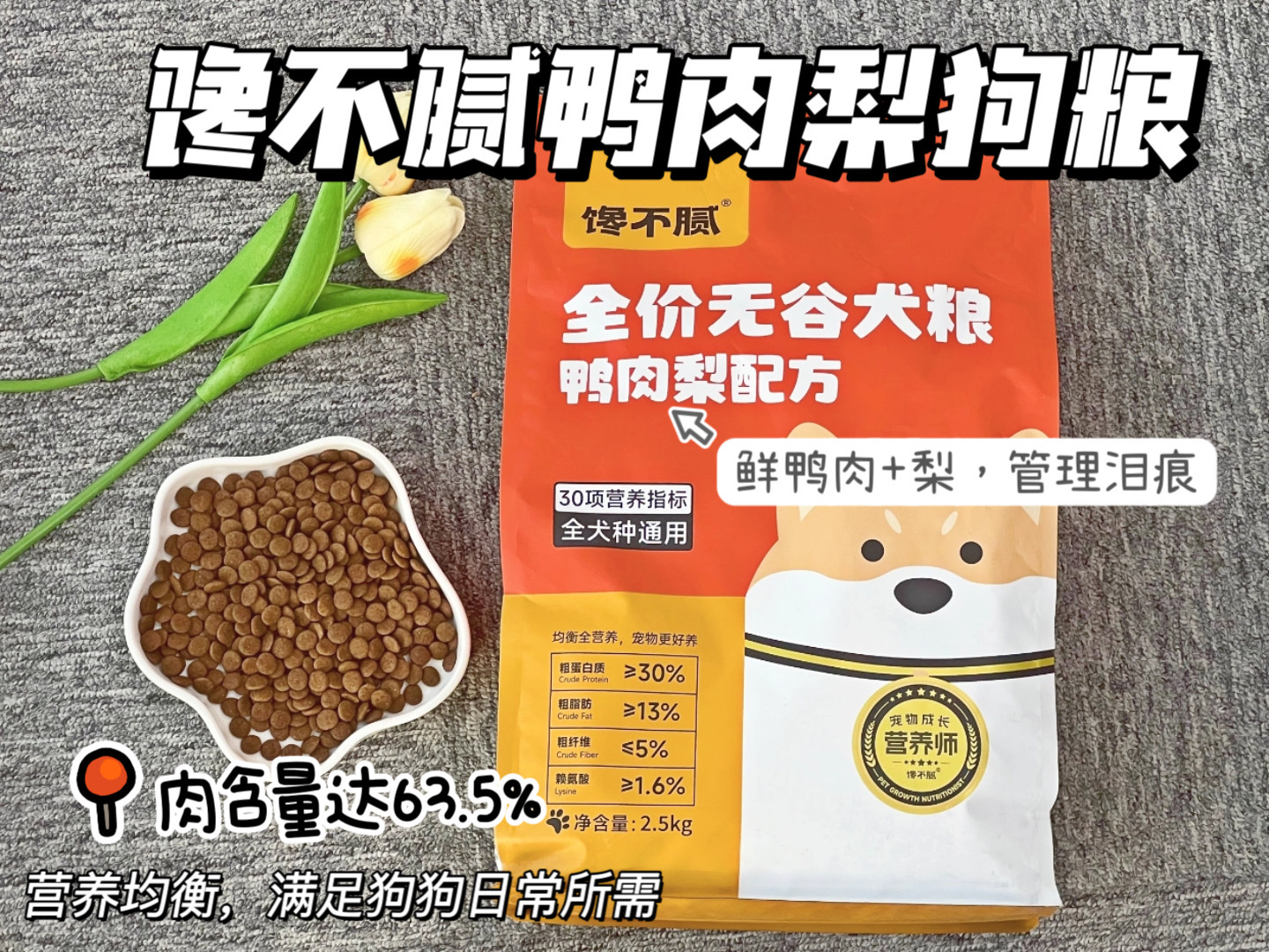 夏天狗狗沙滩玩耍_洗澡时防止狗狗逃跑的技巧_养狗治愈人心好处