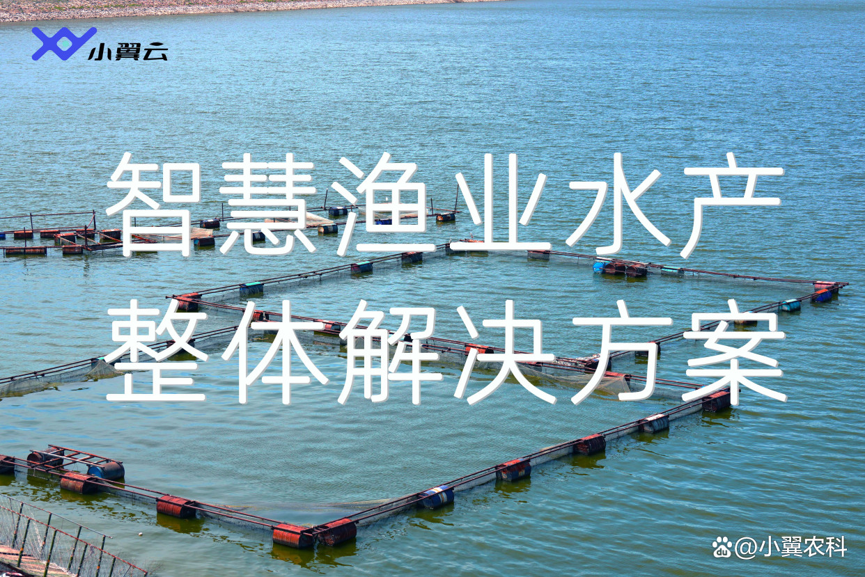 鱼塘“淤泥”不要贪多！否则泛塘、减产！危害就大了-派特超人-宠物