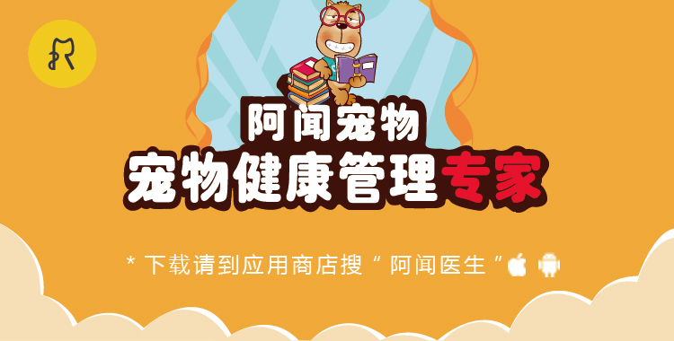 猫咪眼睛红治疗方法_猫咪眼睛发红流泪可能是这些原因导致的_猫咪眼睛发红原因