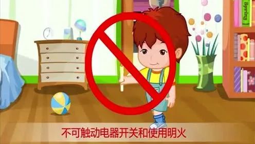 乘坐电梯安全注意事项_鸟类笼外活动时的安全守则_宠物安全养护常识