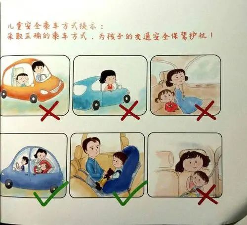 宠物安全养护常识_乘坐电梯安全注意事项_鸟类笼外活动时的安全守则