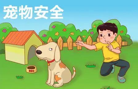 宠物安全养护常识_鸟类笼外活动时的安全守则_乘坐电梯安全注意事项
