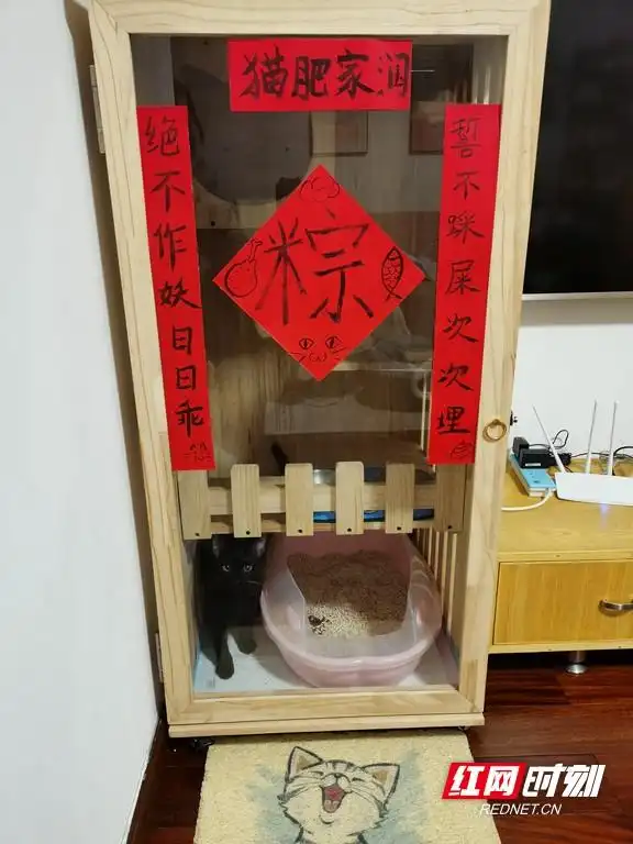 猫咪为什么喜欢睡在书堆上_猫奴心理分析_猫咪行为解读