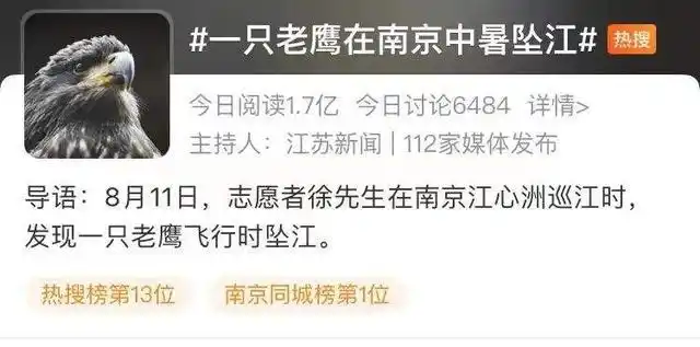 鸟也会中暑？当然！作为没有汗腺的动物，它们为了降温，可是想了不少办法呢-派特超人-宠物