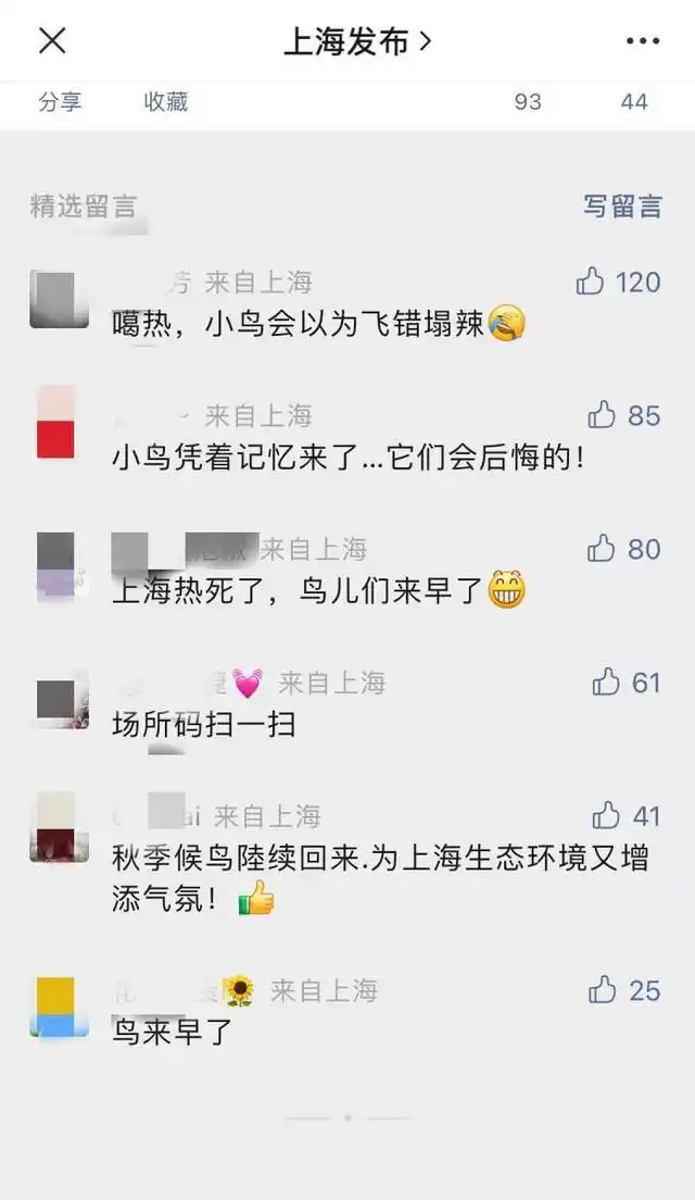 魔都鸟儿中暑_鸟类夏季降温方法_鸟类日常情绪调节方法