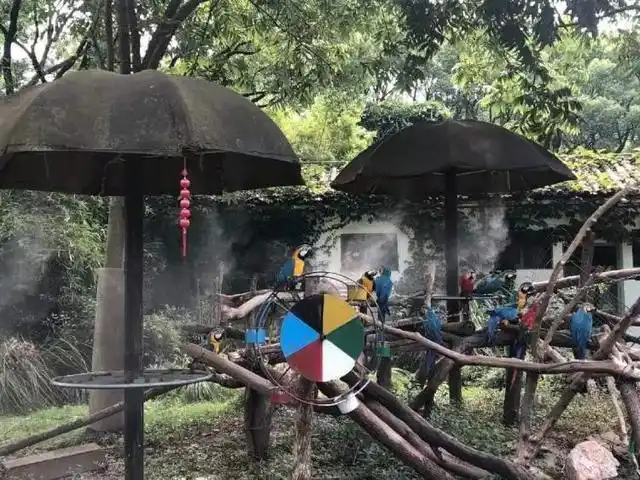 鸟类日常情绪调节方法_鸟类夏季降温方法_魔都鸟儿中暑