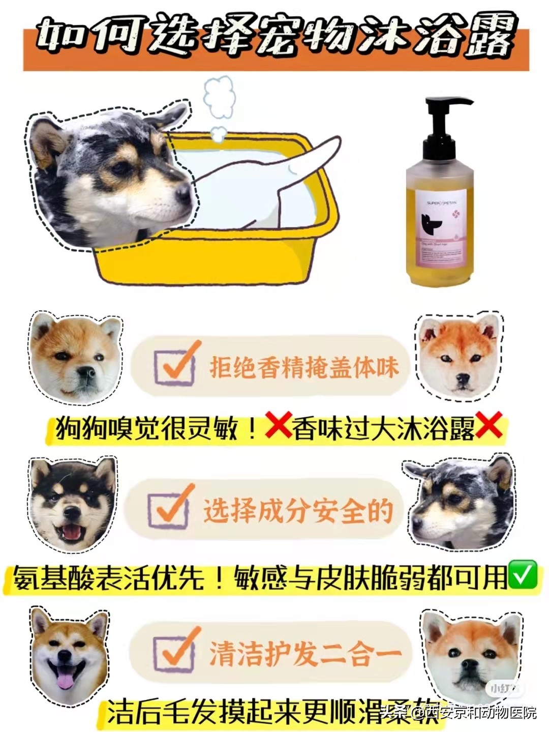 狗狗洗澡技巧_幼犬洗澡后的快速擦干_狗狗洗澡顺序