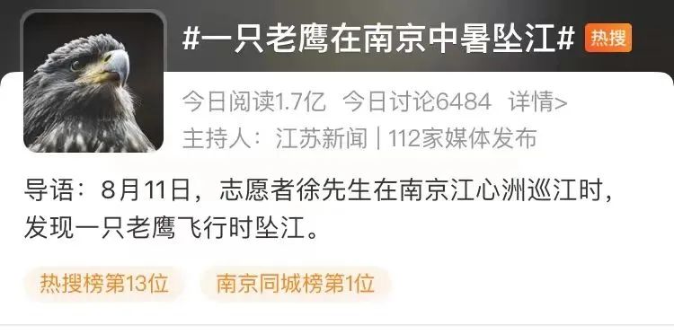 鸟也会中暑？为了降温，鸟儿的花招可不少！-派特超人-宠物