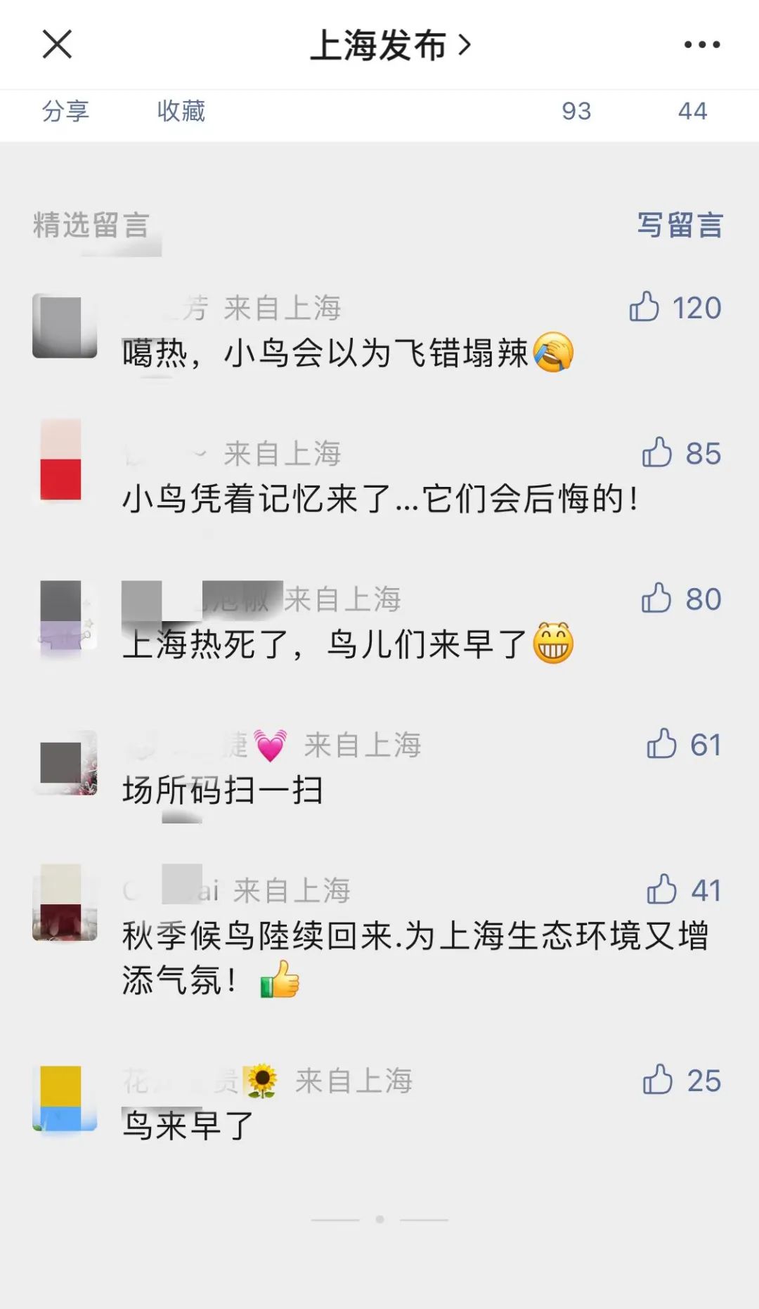 上海高温鸟儿中暑_鸟类高温降温方法_鸟类日常情绪调节方法