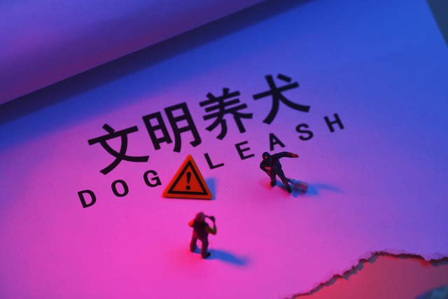 狗狗洗澡好处_洗澡时如何分散狗狗注意力_狗狗洗澡步骤