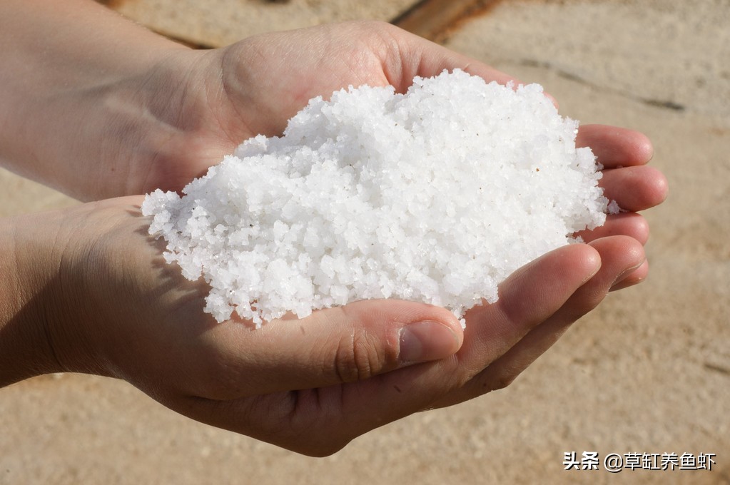 鱼缸加盐好处与坏处_鱼缸加盐浓度0.3-0.5%_鱼缸加盐治疗的精准用量