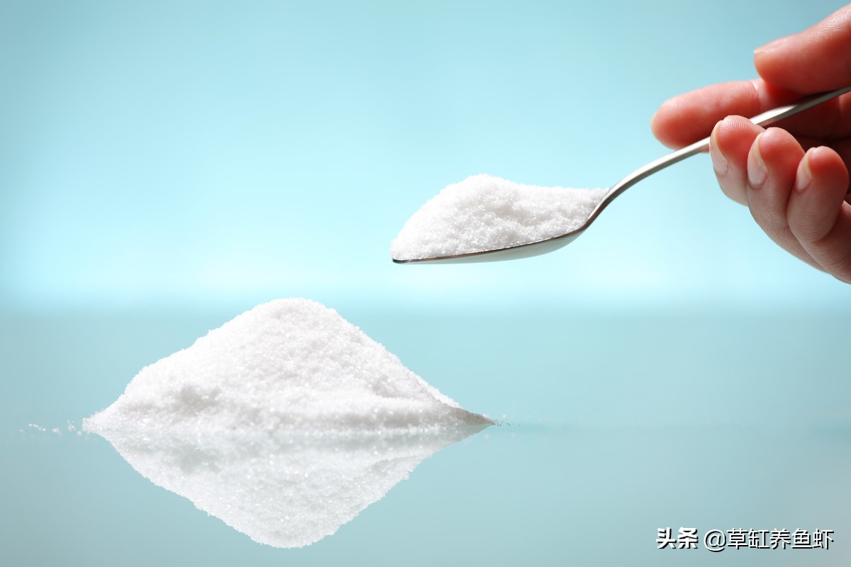 鱼缸加盐治疗的精准用量_鱼缸加盐浓度0.3-0.5%_鱼缸加盐好处与坏处