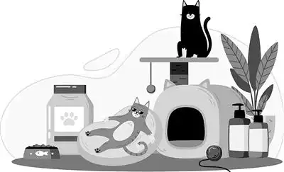 生活｜“留守毛孩子”如何过春节？-派特超人-宠物