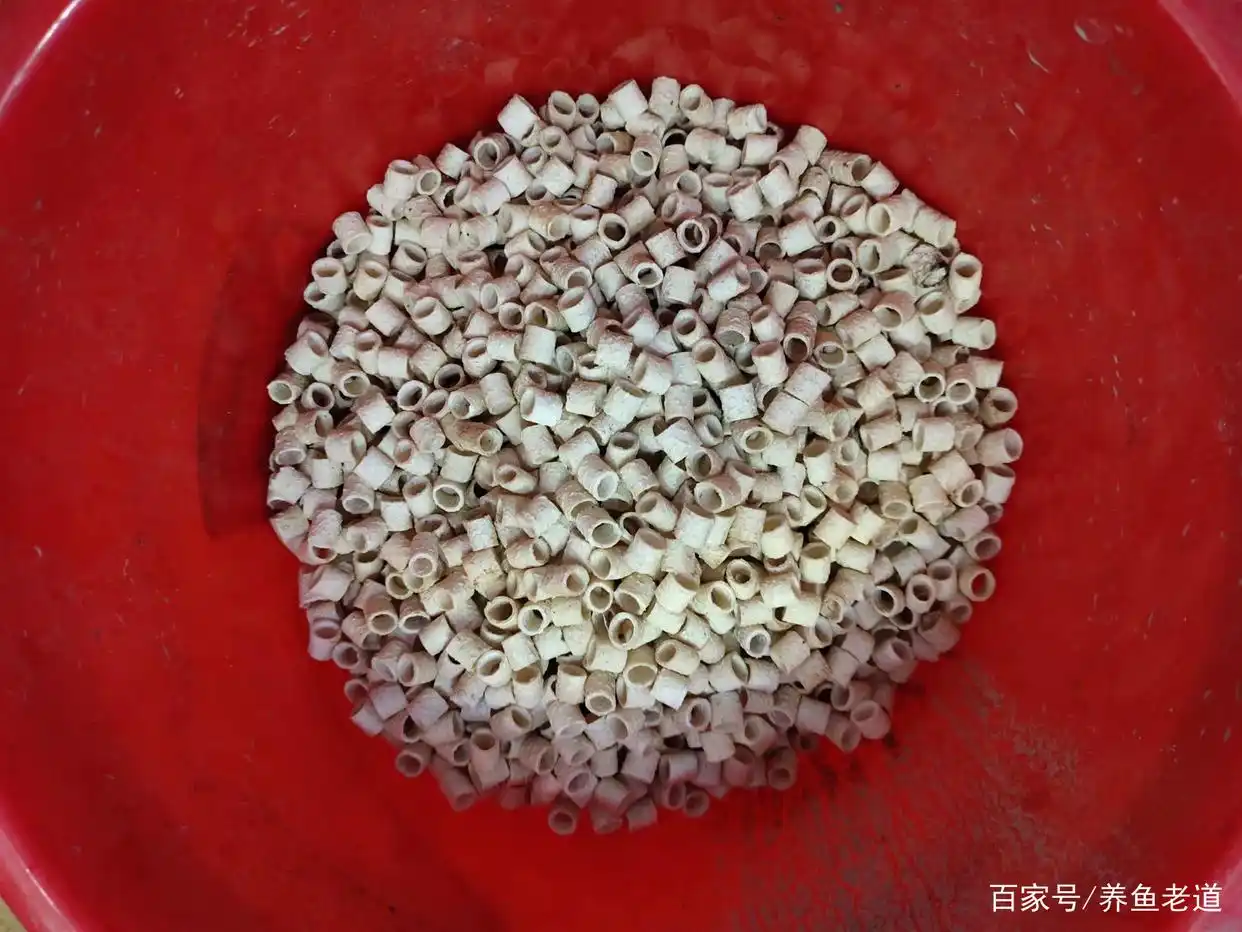  观赏鱼滤材清理 __鱼缸过滤系统故障的风险