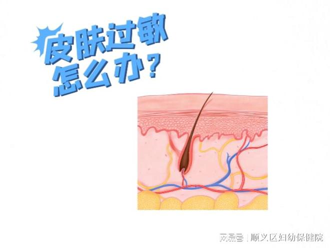 寒冷季节皮肤过敏的应对攻略-派特超人-宠物