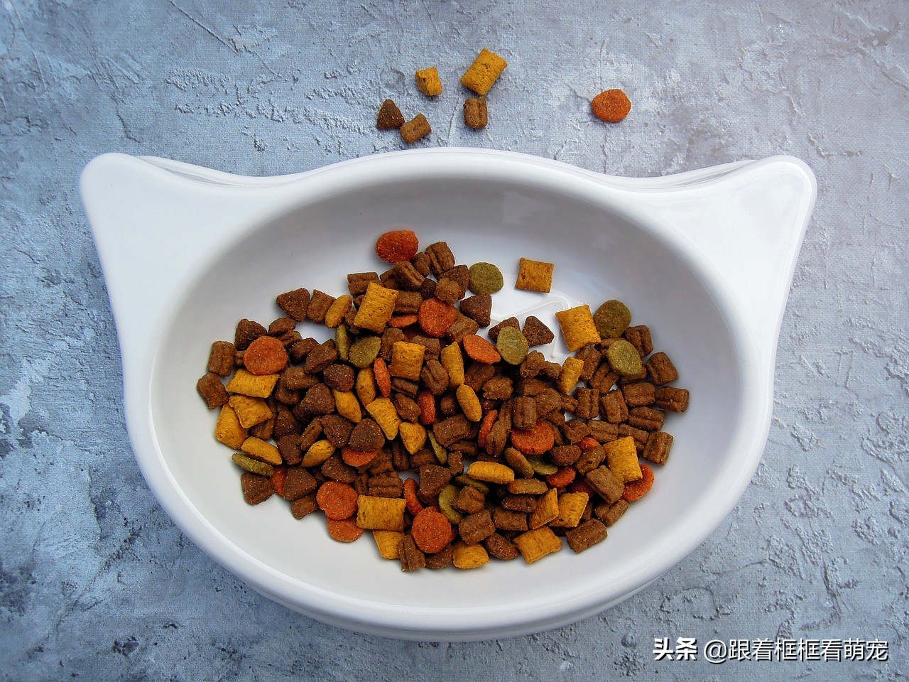 猫咪吐猫粮原因_猫咪呕吐未消化食物可能是胃炎_猫咪吃猫粮噎住怎么办