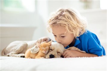 过敏原Fel d1和Fel d4_鸟类过敏主人的应对策略_猫毛皮屑过敏应对措施