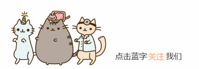 喵星人有了眼疾怎么办-派特超人-宠物