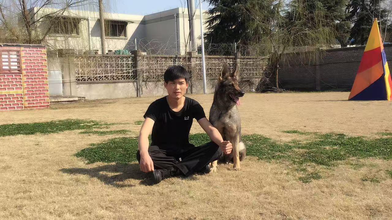 服务犬驯养师职业发展_导盲犬驯养师工作日常_宠物训练师教你纠正狗狗不良习惯