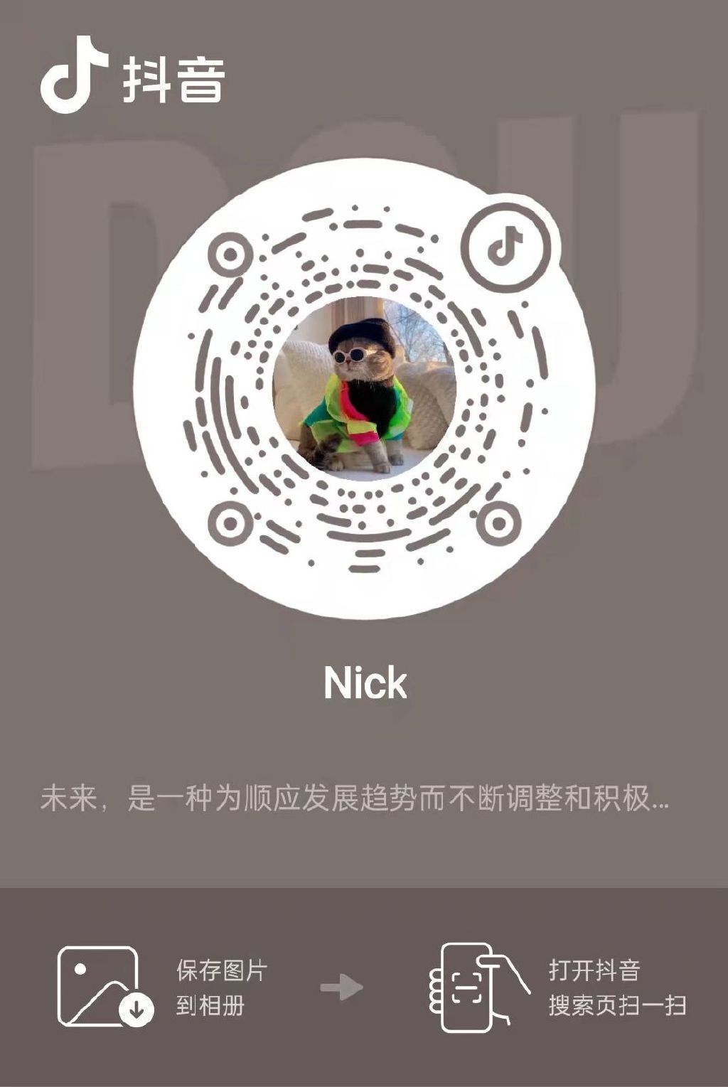 猫咪瘫痪护理要点_猫咪打瞌睡姿势_白底虎斑猫顾家日常
