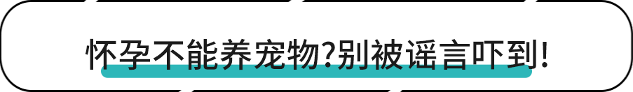 猫咪弓形虫检测：孕妇养猫必读_宠物弓形虫感染预防措施_怀孕养宠物弓形虫风险
