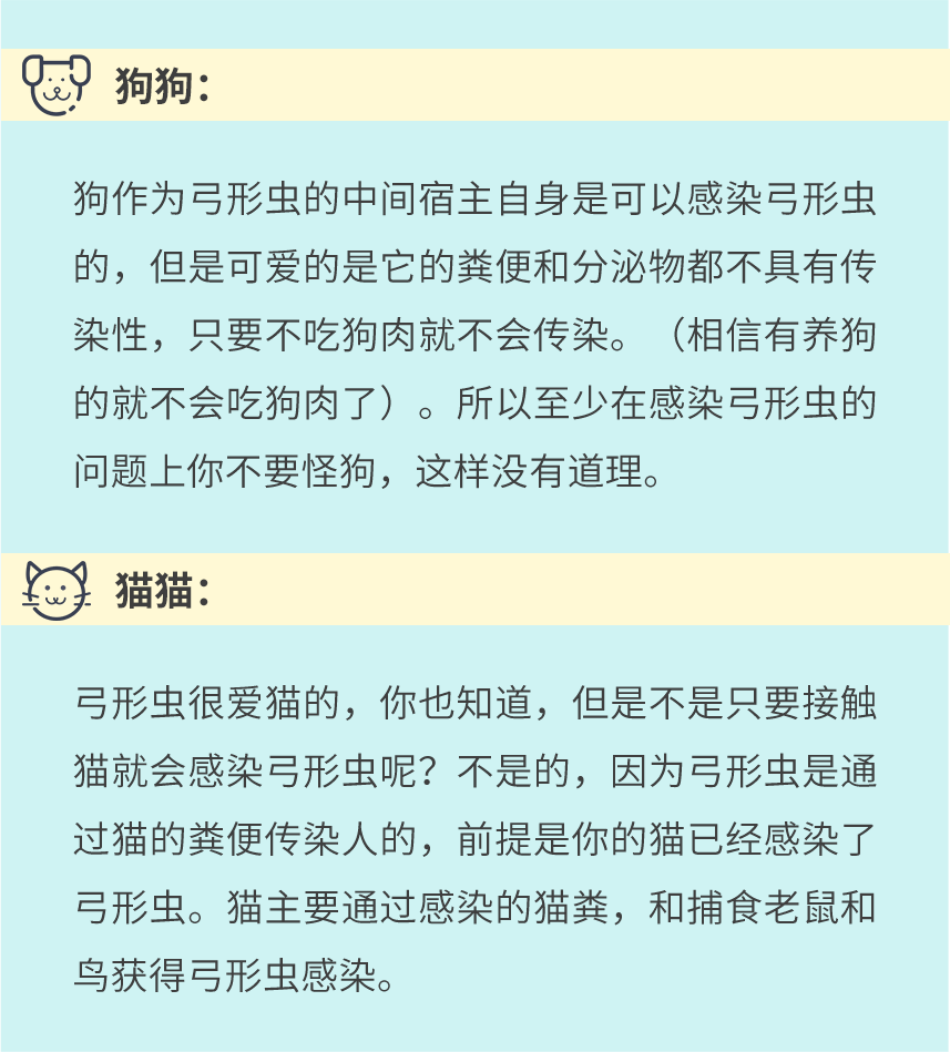 猫咪弓形虫检测：孕妇养猫必读_宠物弓形虫感染预防措施_怀孕养宠物弓形虫风险