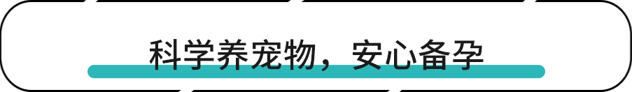 猫咪弓形虫检测：孕妇养猫必读_宠物弓形虫感染预防措施_怀孕养宠物弓形虫风险