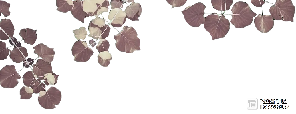 猫咪脚趾甲需要经常剪么？-派特超人-宠物