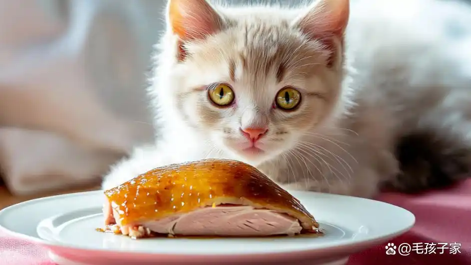 猫咪食欲不振解决办法_猫咪食欲不振原因_猫咪厌食症：强迫喂食的正确方式