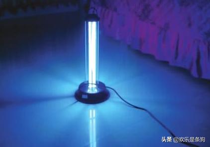 犬细小病毒症状诊断_狗狗呕吐透明黏液？食道问题和反流_犬细小病毒病治疗
