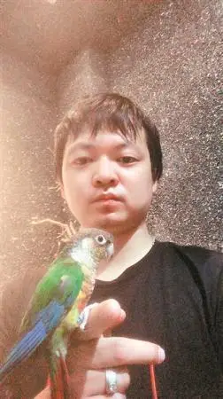 让鸟类学会收纳玩具的方法_鹦鹉垃圾分类技能教学_花都鹦鹉垃圾分类训练
