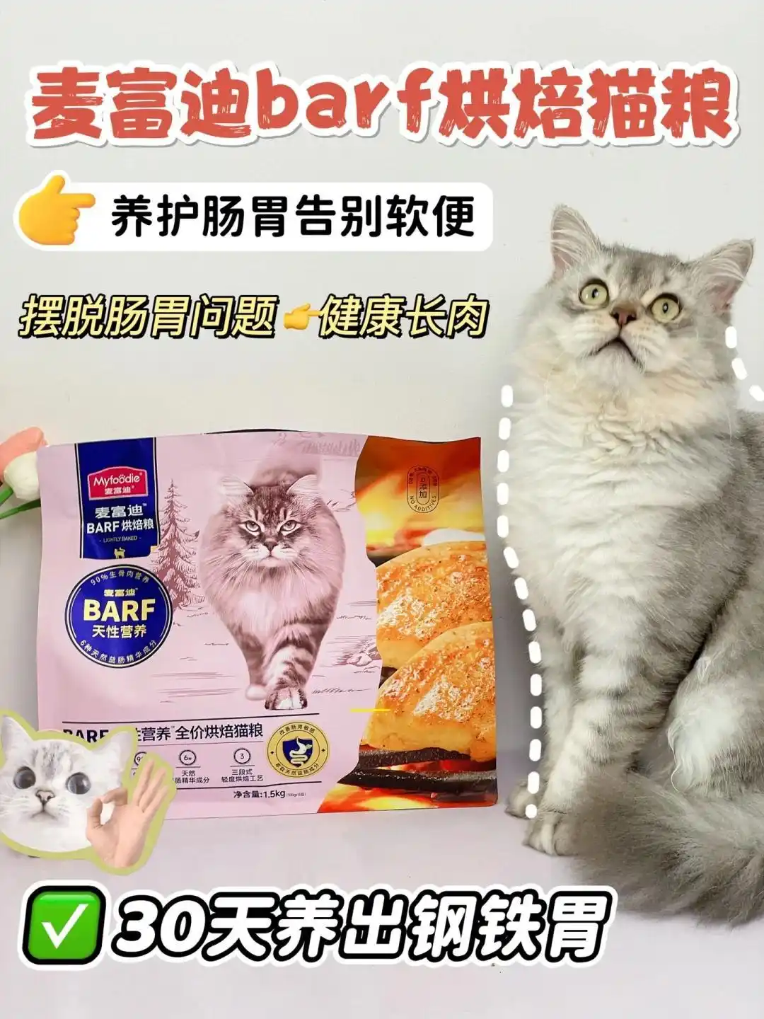 公猫乱尿行为纠正方法_猫砂盆环境调整策略_如何选择最适合的猫砂