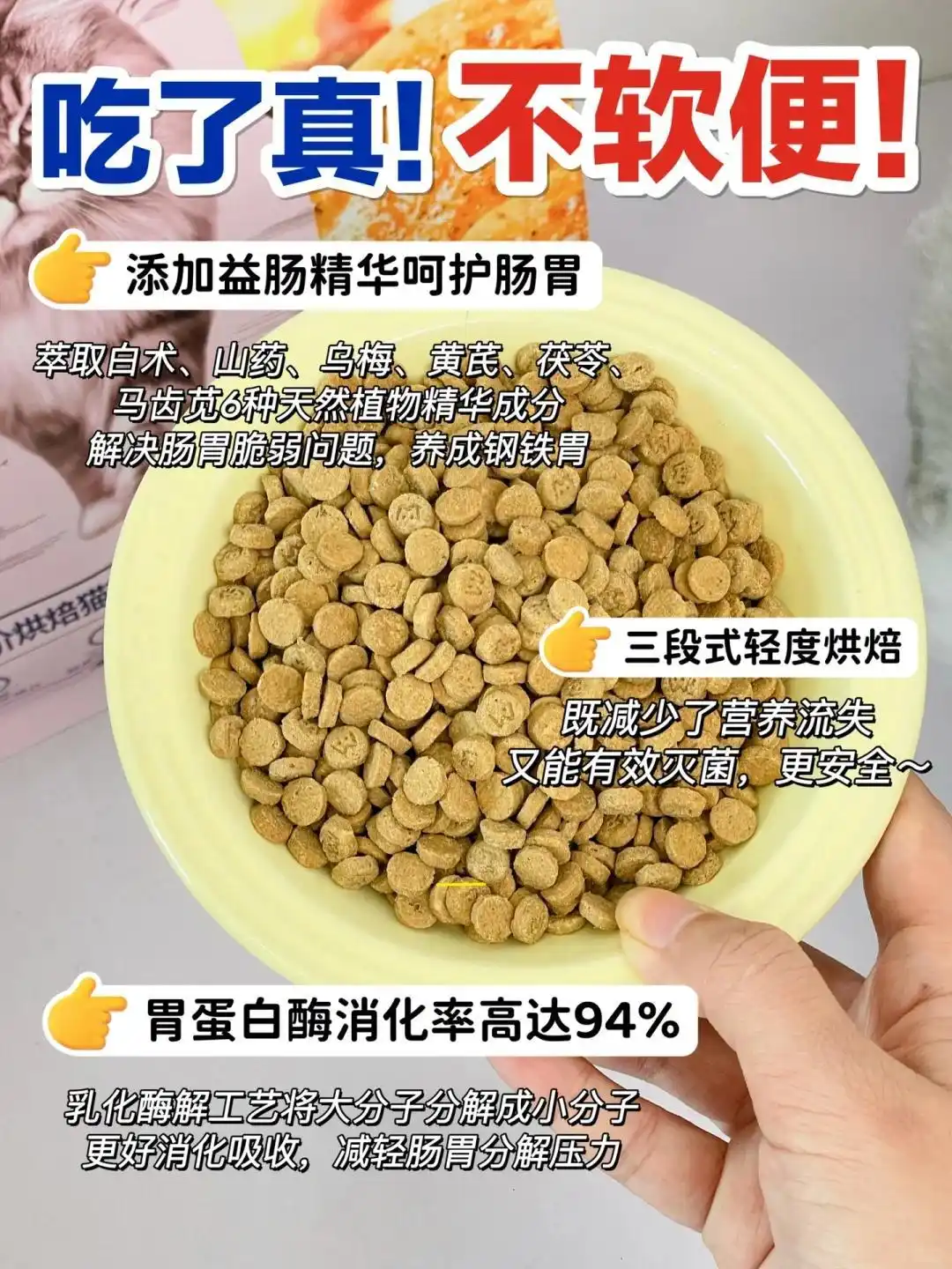 猫砂盆环境调整策略_如何选择最适合的猫砂_公猫乱尿行为纠正方法