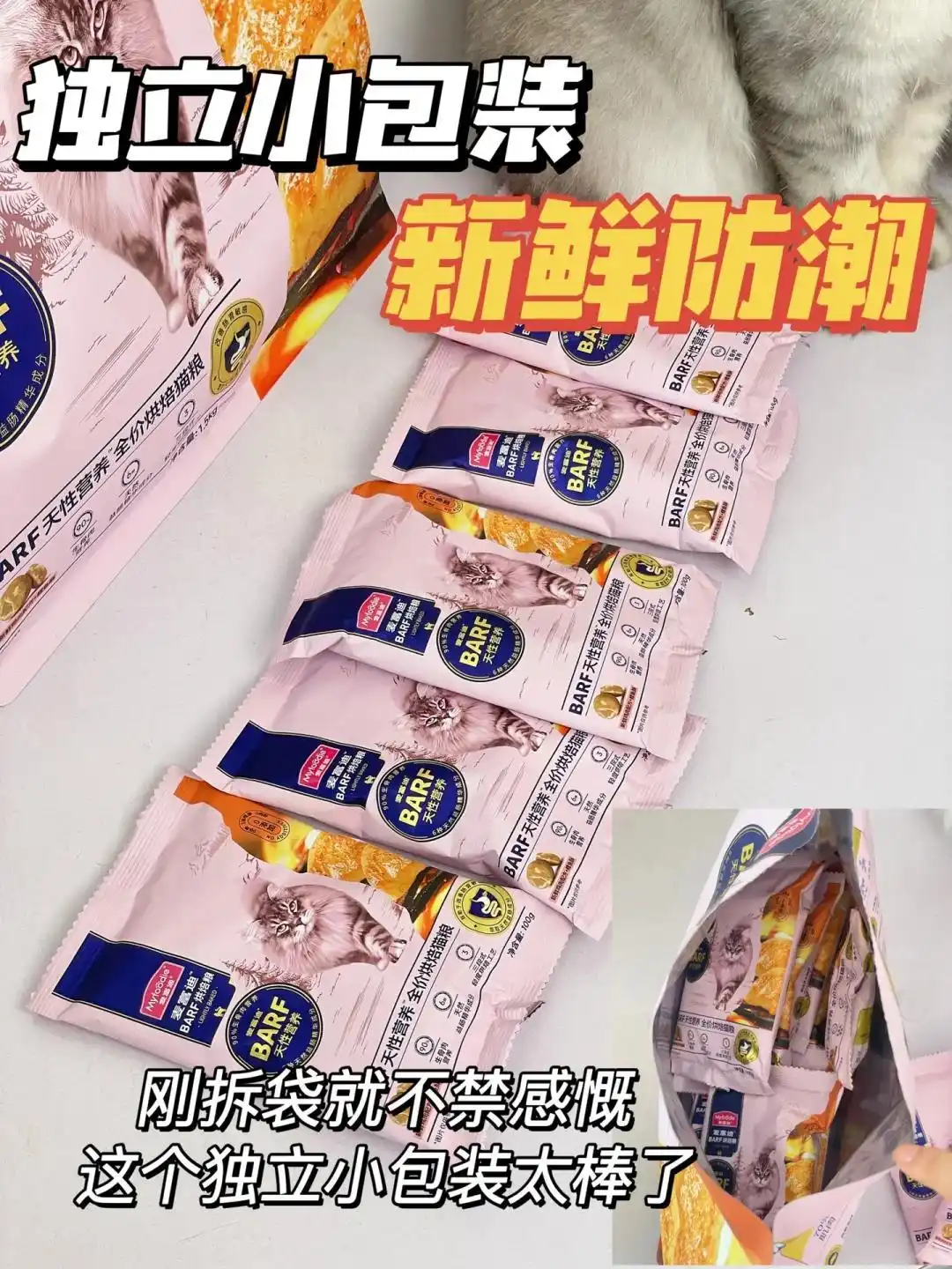 公猫乱尿行为纠正方法_如何选择最适合的猫砂_猫砂盆环境调整策略