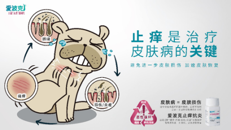 狗狗皮肤病高发期预防措施_狗狗皮肤颗粒？毛囊炎和过敏反应_春季狗狗皮肤病止痒方法