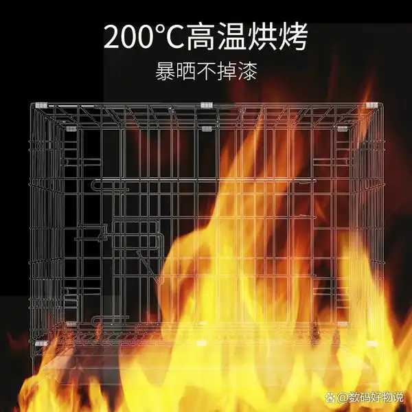 猫笼子性价比分析_口碑好的猫笼子推荐_如何选择最适合的猫砂