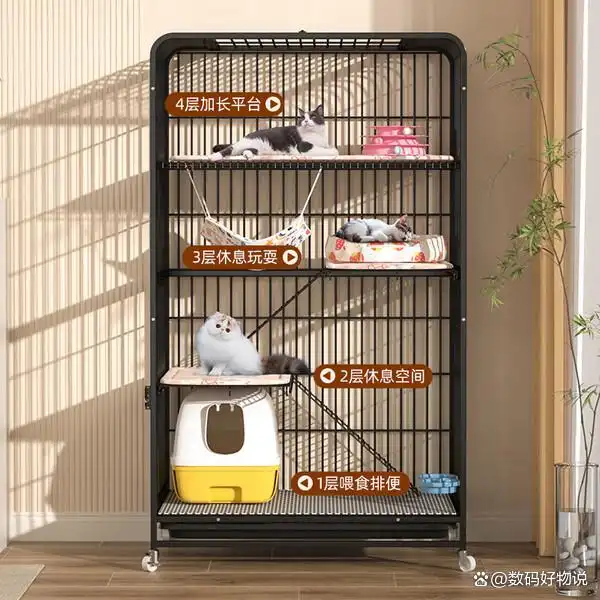 猫笼子性价比分析_口碑好的猫笼子推荐_如何选择最适合的猫砂