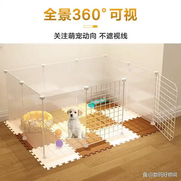 猫笼子性价比分析_如何选择最适合的猫砂_口碑好的猫笼子推荐