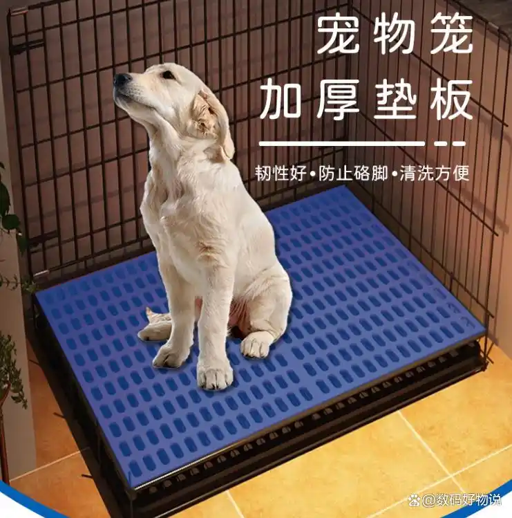 口碑好的猫笼子推荐_猫笼子性价比分析_如何选择最适合的猫砂